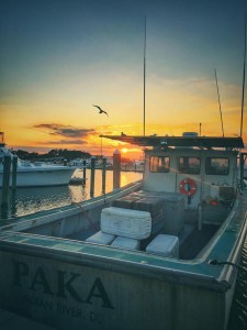 Marina Sunset ... Matt Adams