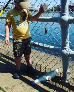 blue catfish, potomoac river ,micah dammeyer