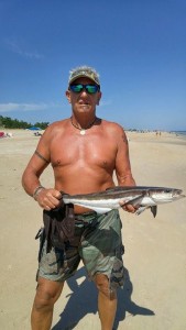 cobia, delaware, sussex county, rehoboth beach, surf fishing, bluefish for bait, the man in the brown suit