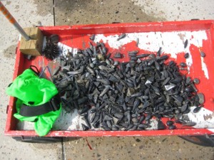 weights, fishing sinkers, delaware, sussex county, indian river inlet,