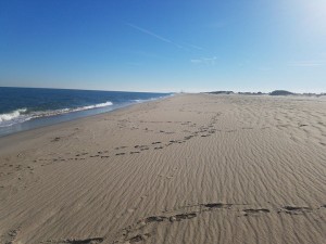 dssp, delaware seashore state park, conquest beach, sussex county