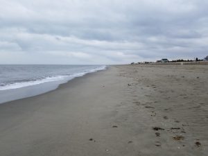 delaware bay, broadkill beach, beach plum islandstate park, lewes, route 16, prime hook, bay beach, anchorage