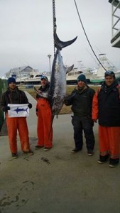 swordfish, indian river marina, hookemand cookem, delaware, sussex county, poormanscanyon