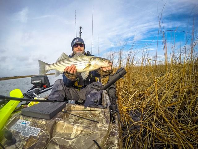 Matthew Rucks Matt Trucks of the Plastic Hull with a 25 inch resident striped bass ...