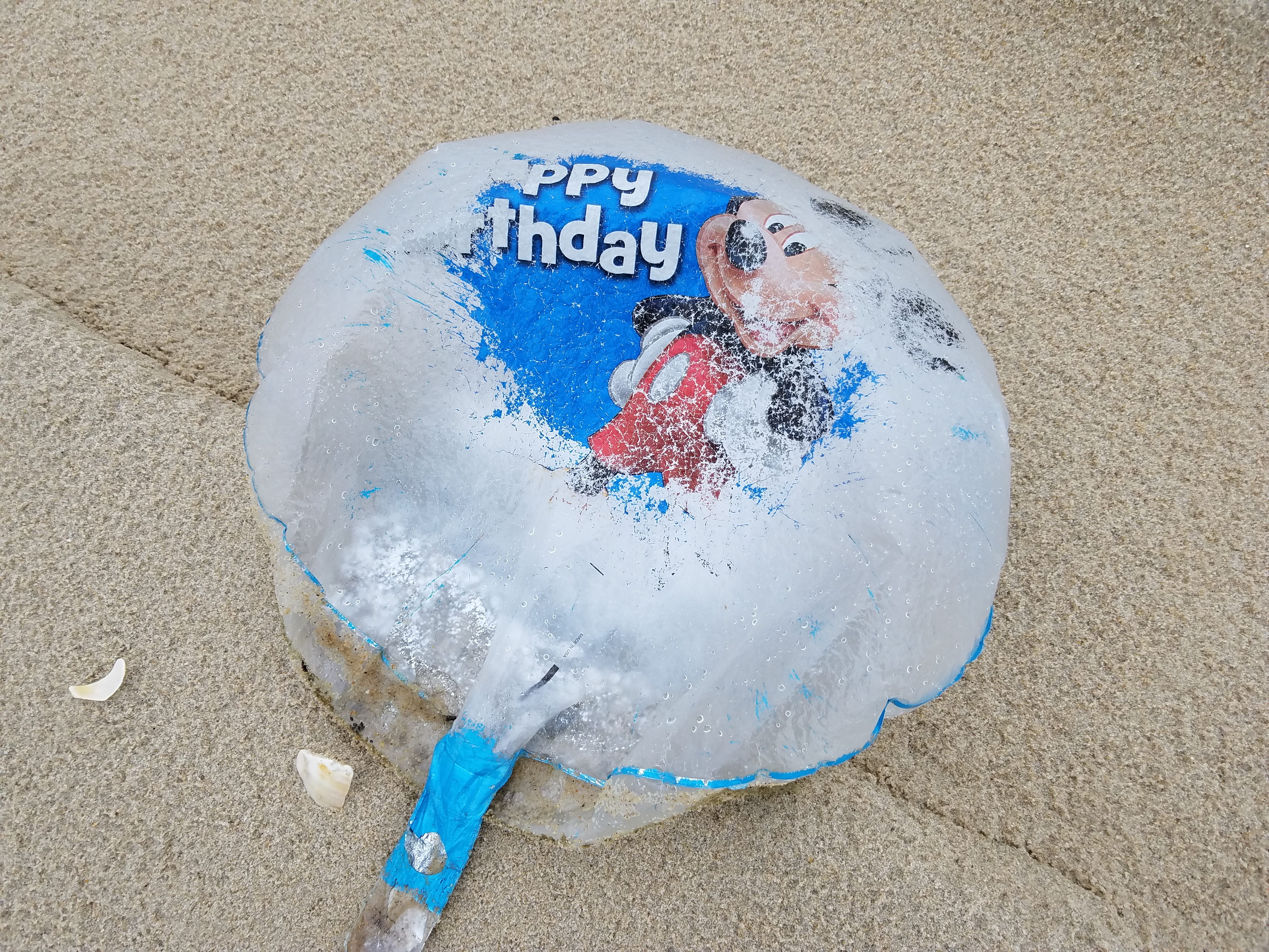 mylarballoons need to be banned, delaware, sussex county, beach clean up