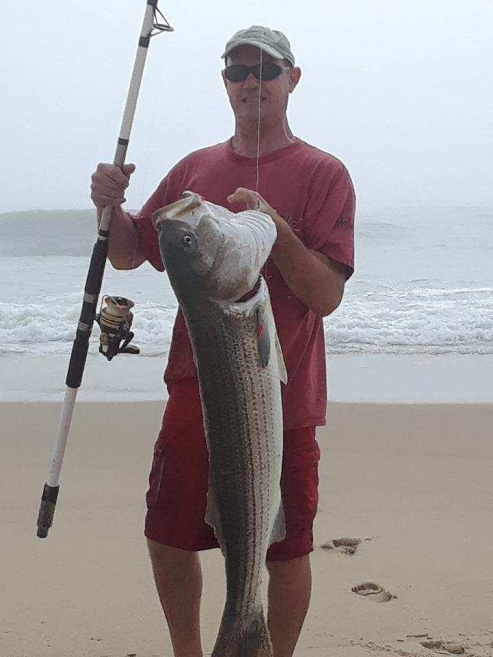 STRIPED BASS FENWICK ISLAND TACKLE