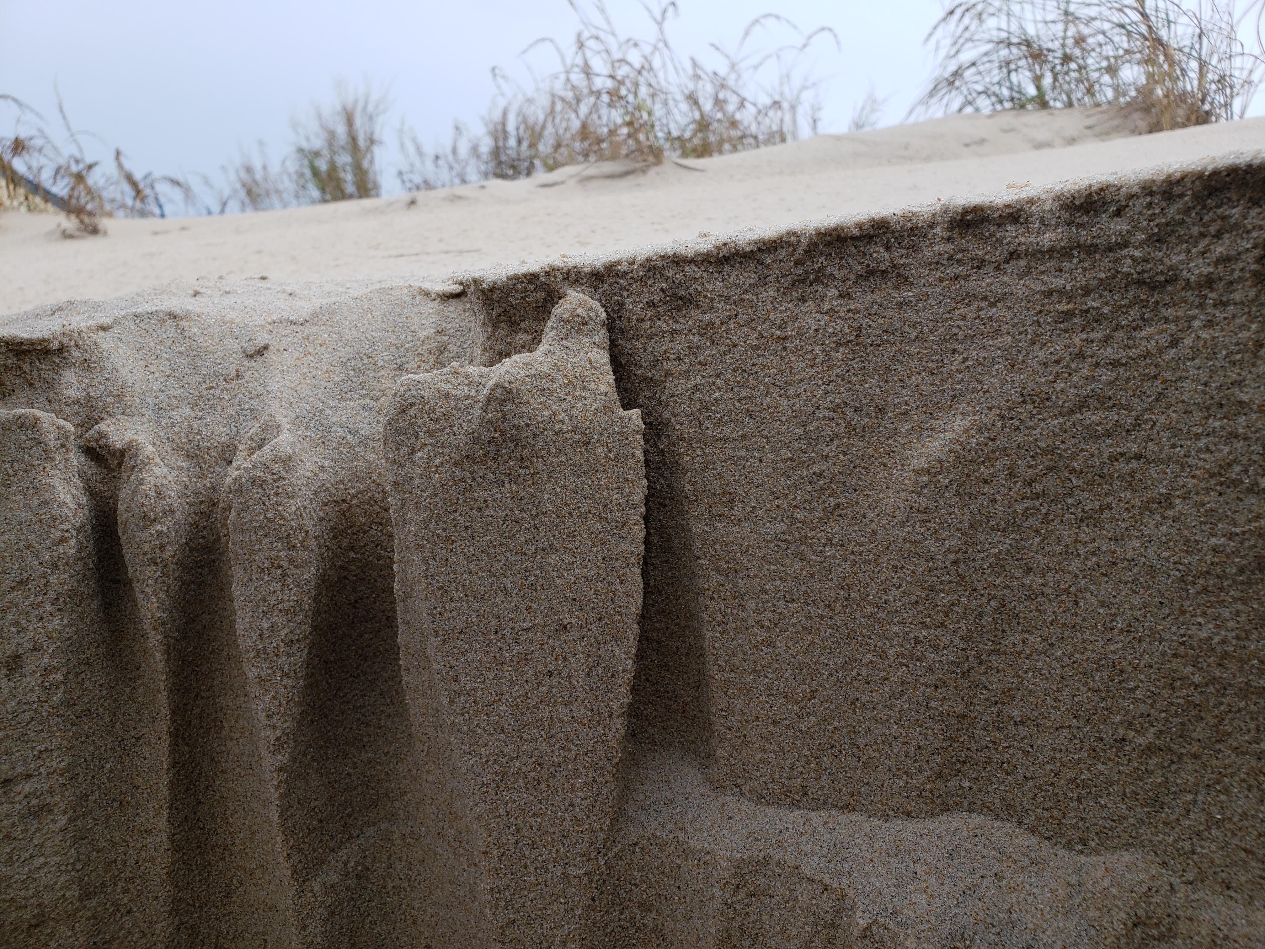 The Sand Cliffs of Fenwick Island