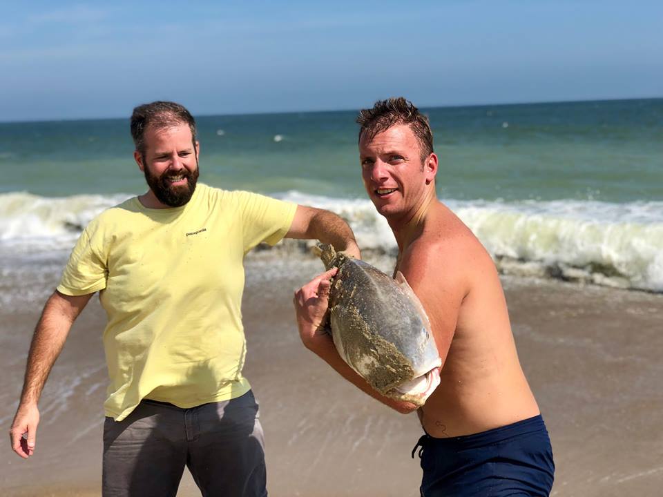 bethany beach, bull red drum, delaware, sussex county, surf fishing, red drum, cut bait