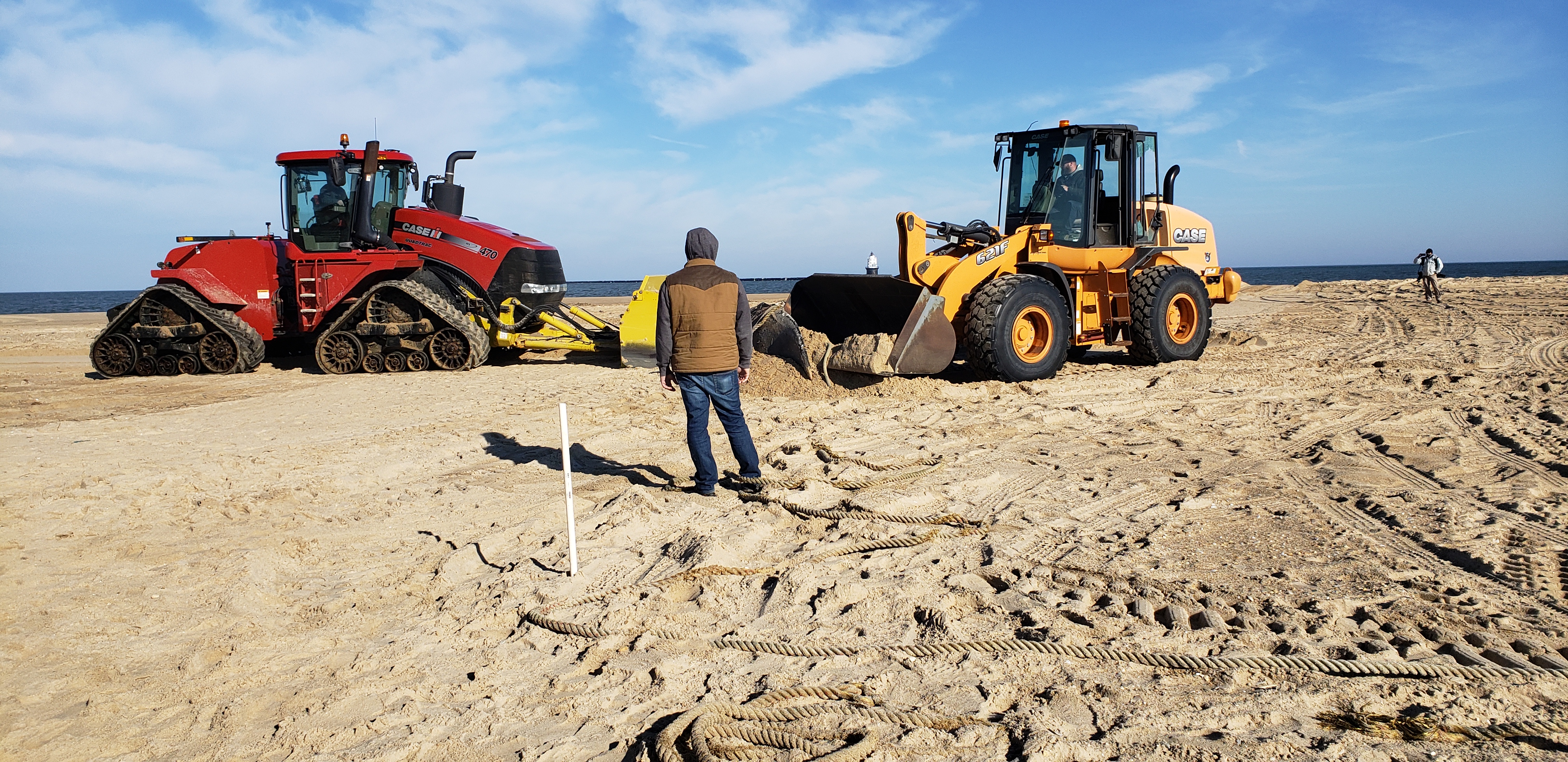 whale, humpback whale, cape henlopen state park, the point, delaware, sussex county, MERR, arine Education, Research and Rehabilitation Institute, atlantic ocean bunker, whale stranding