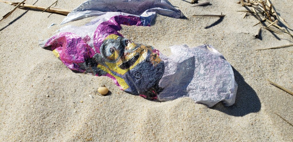 beach clean up, Delaware, Sussex county, ocean trash, pollution, rehoboth beach, dewey beach, bethany beach, lewes beach, broadkill beach, fenwick island, syringes on the beach, beach trash, litter