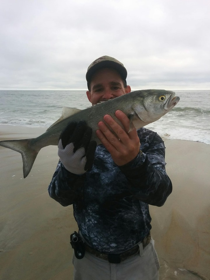 Marc Turner caught this bluefish at Fenwick Island on a DS Custom