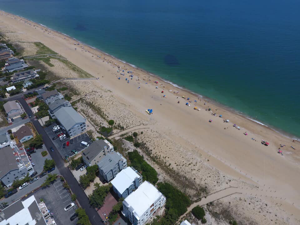 Schools of fish "Blobs" moving along the beach at Fenwick Island