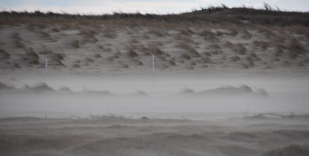 The point, cape henlopen state park, sussex county, Lewes, pilot ship, harbor of refuge lighthouse, delaware surf fishing, seal, diving birds, tahoe, dsf flag, cape may lewes ferry, tsunami saltx6000, lewes wind turbine