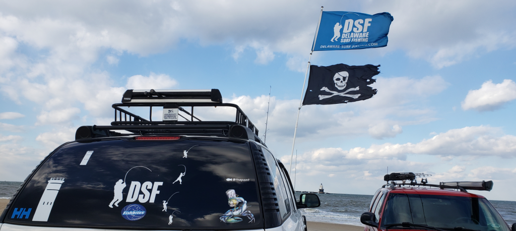 The point, cape henlopen state park, sussex county, Lewes, pilot ship, harbor of refuge lighthouse, delaware surf fishing, seal, diving birds, tahoe, dsf flag, cape may lewes ferry, tsunami saltx6000, lewes wind turbine