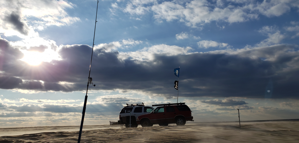The point, cape henlopen state park, sussex county, Lewes, pilot ship, harbor of refuge lighthouse, delaware surf fishing, seal, diving birds, tahoe, dsf flag, cape may lewes ferry, tsunami saltx6000, lewes wind turbine
