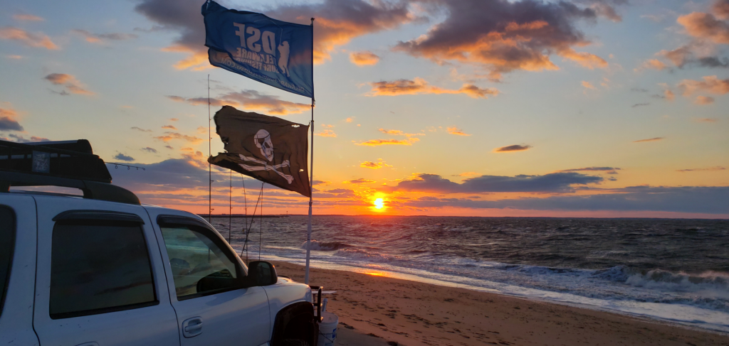 The point, cape henlopen state park, sussex county, Lewes, pilot ship, harbor of refuge lighthouse, delaware surf fishing, seal, diving birds, tahoe, dsf flag, cape may lewes ferry, tsunami saltx6000, lewes wind turbine