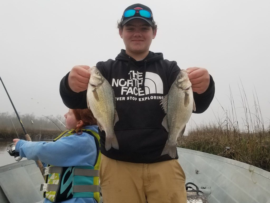 white perch, delaware, sussex county, broadkill river,