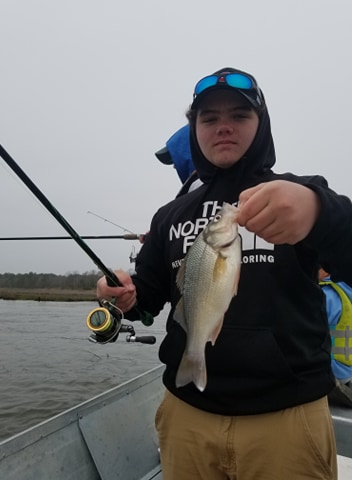 white perch, delaware, sussex county, broadkill river,