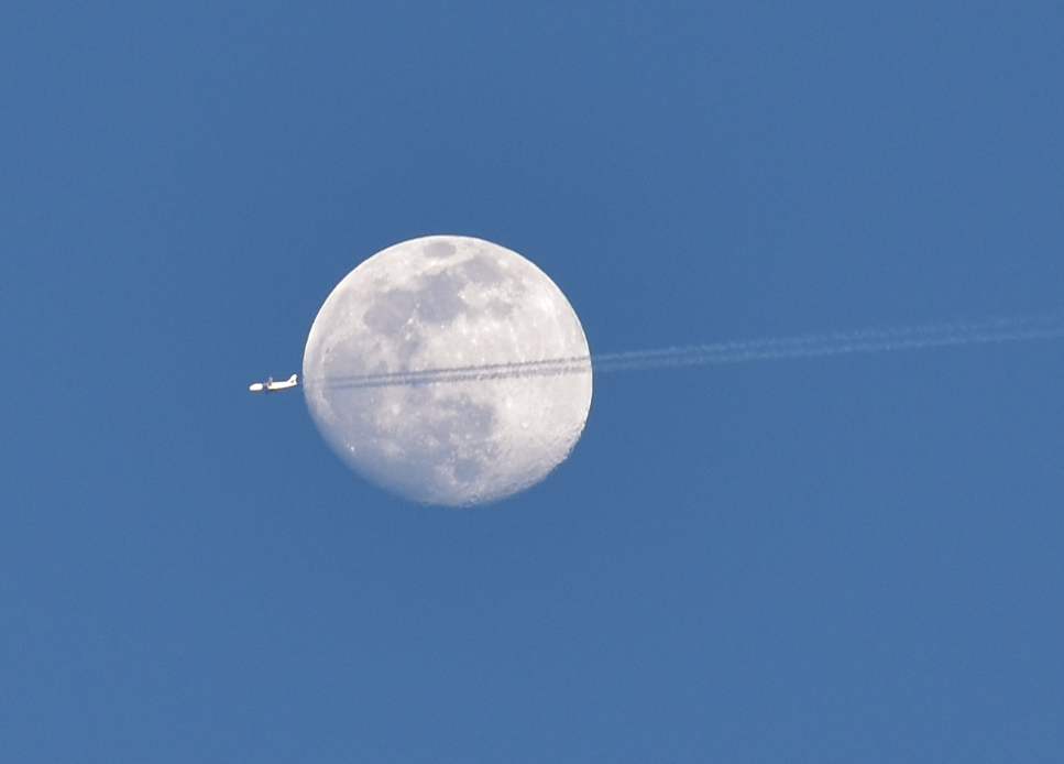 full pink moon, plane crossing moon view, delaware, sussex county
