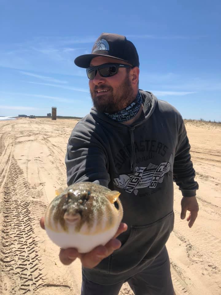 northern puffer fish, delaware surf fishing, cape henlopen state park