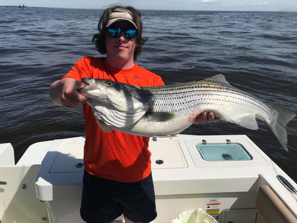 striped bass, rock hall, chesapeake bay, rebel soul,