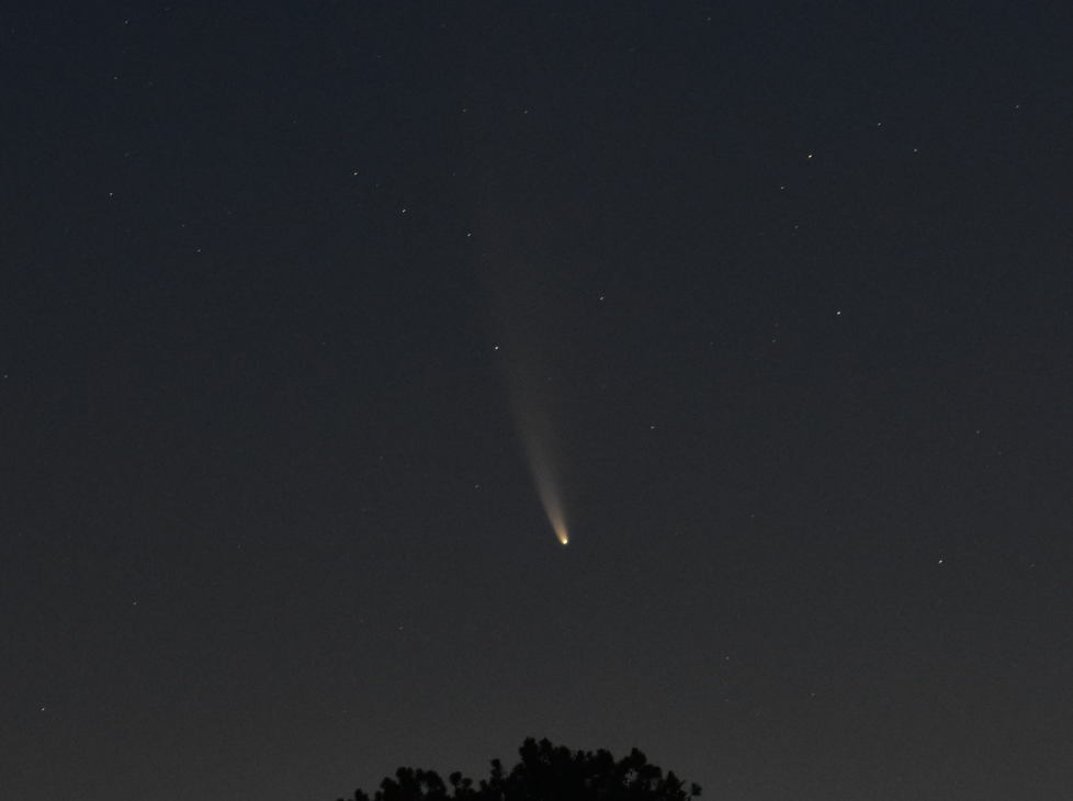 comet neowise, delaware, sussexconty, astrophotography, nikon d 3400,