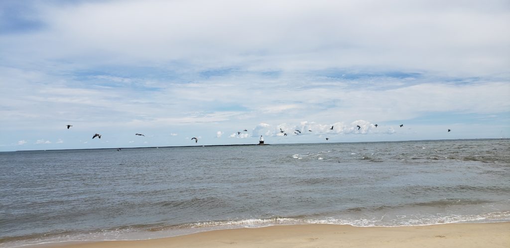 the point, cape henlopen state park, delaware, lewes, surf fishing, cape may lewes ferry