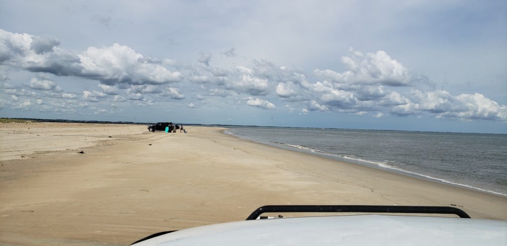 the point, cape henlopen state park, delaware, lewes, surf fishing, cape may lewes ferry