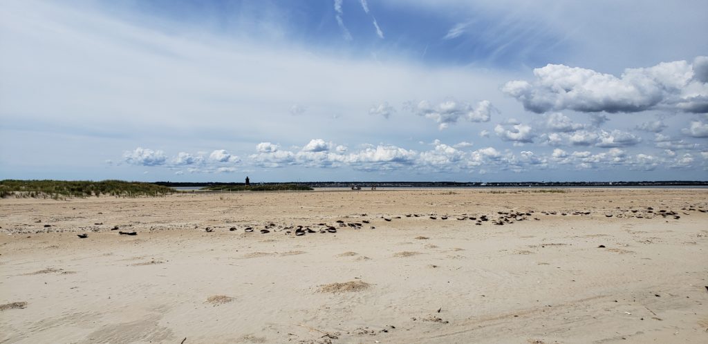 the point, cape henlopen state park, delaware, lewes, surf fishing, cape may lewes ferry