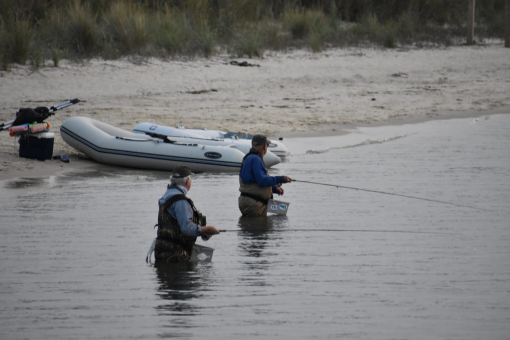saltwater fly anglers of delaware, fly fishing, cape henlopen state park, lewes, delaware, sussex county, wizards of the long wand, the flats, yes you can fly fish in the ocean,