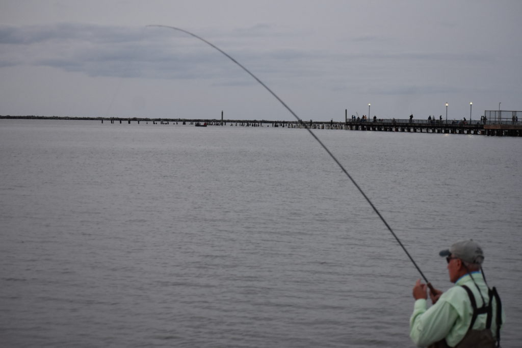 saltwater fly anglers of delaware, fly fishing, cape henlopen state park, lewes, delaware, sussex county, wizards of the long wand, the flats, yes you can fly fish in the ocean, speckled trout, sea trout, croaker, spot, bluefish, weakfish