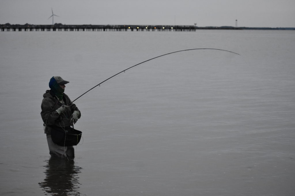saltwater fly anglers of delaware, fly fishing, cape henlopen state park, lewes, delaware, sussex county, wizards of the long wand, the flats, yes you can fly fish in the ocean, speckled trout, sea trout, croaker, spot, bluefish, weakfish