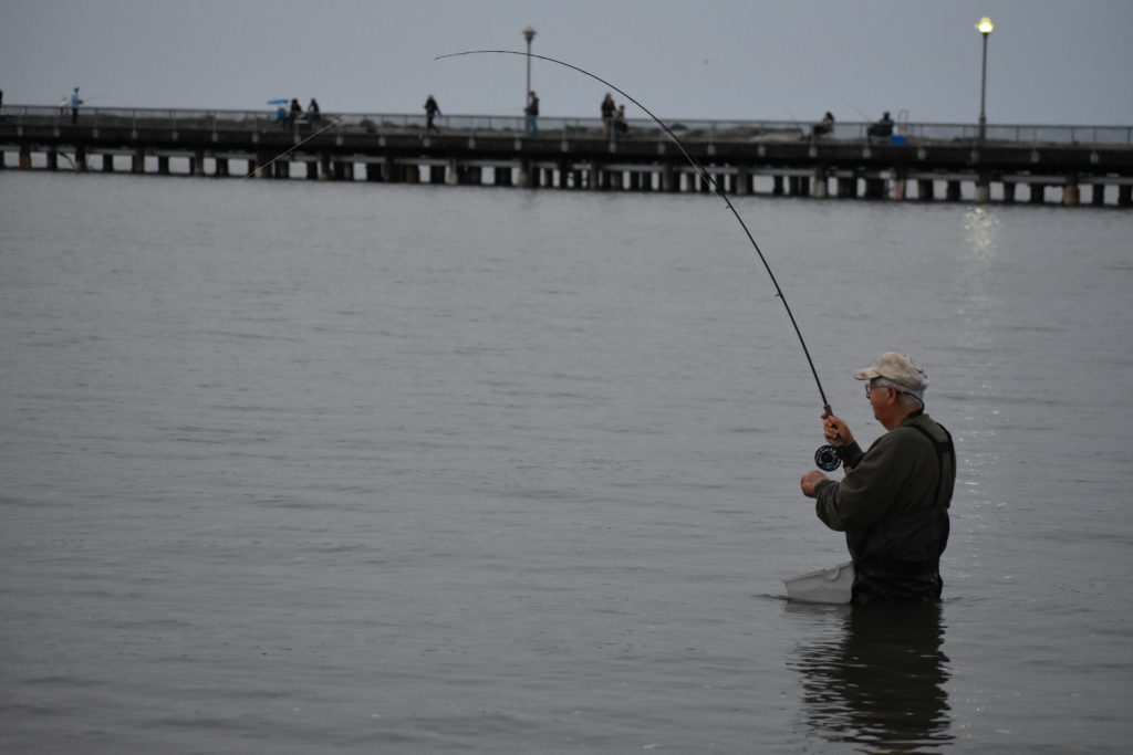 saltwater fly anglers of delaware, fly fishing, cape henlopen state park, lewes, delaware, sussex county, wizards of the long wand, the flats, yes you can fly fish in the ocean, speckled trout, sea trout, croaker, spot, bluefish, weakfish