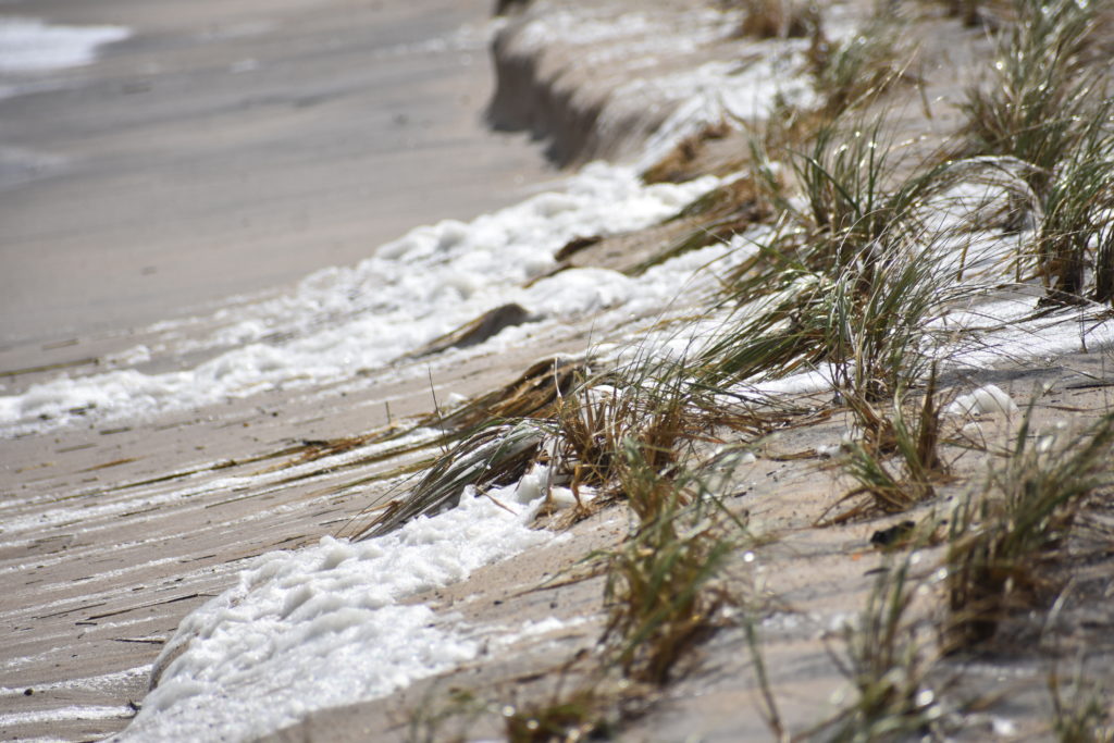 dune grass, Delaware seashore state park, delaware surf fishing, indian river inlet, hurricane teddy storm surge, metal detecting, heavy surf, wave action, delmarva beaches, sussex county