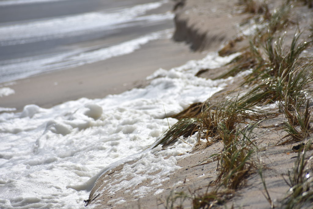 dune grass, Delaware seashore state park, delaware surf fishing, indian river inlet, hurricane teddy storm surge, metal detecting, heavy surf, wave action, delmarva beaches, sussex county