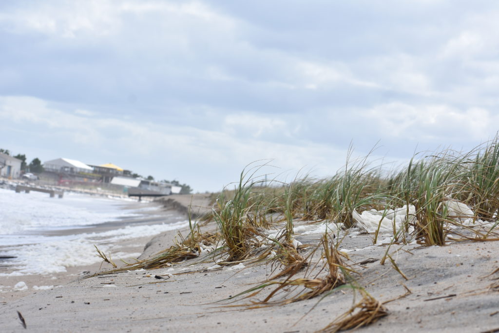 dune grass, Delaware seashore state park, delaware surf fishing, indian river inlet, hurricane teddy storm surge, metal detecting, heavy surf, wave action, delmarva beaches, sussex county
