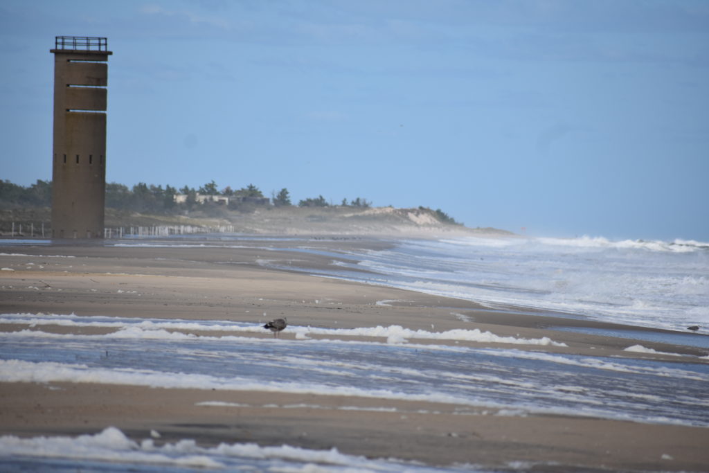 cape henlopen state park, gordons pond, herring point beach, delaware surf fishing