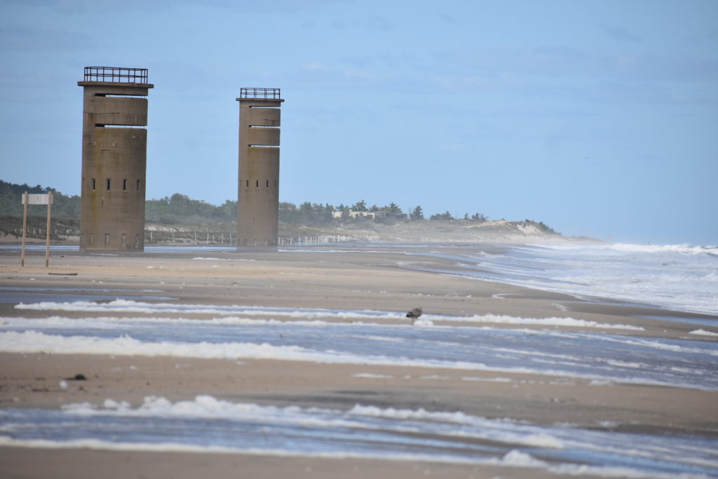 cape henlopen state park, gordons pond, herring point beach, delaware surf fishing