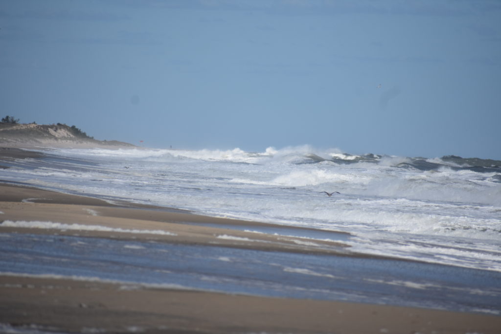 cape henlopen state park, gordons pond, herring point beach, delaware surf fishing, naval crossing