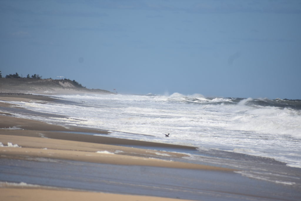 cape henlopen state park, gordons pond, herring point beach, delaware surf fishing