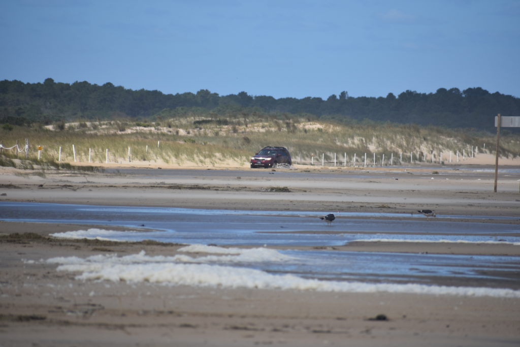 cape henlopen state park, gordons pond, herring point beach, delaware surf fishing