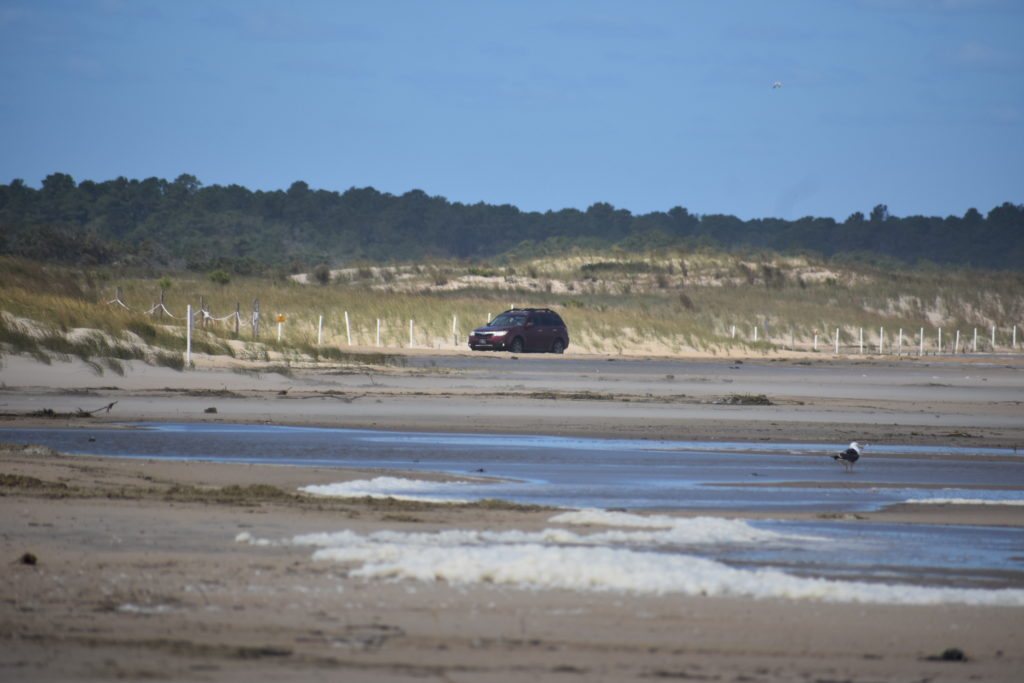 cape henlopen state park, gordons pond, herring point beach, delaware surf fishing