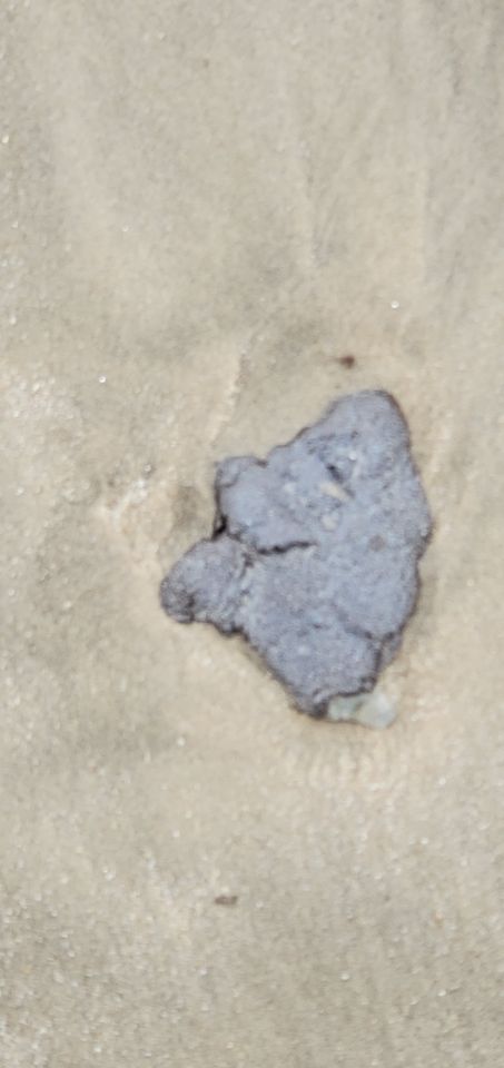 oil spill, delaware beaches, tar ball, tar blob, glob, oil slick, delaware surf fishing, sussex county, delaware state parks, lewes, bethany, dewey, rehoboth, dnrec, coast guard, tri state bird rescue, merr