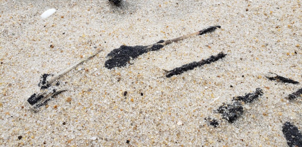 oil spill, delaware beaches, tar ball, tar blob, glob, oil slick, delaware surf fishing, sussex county, delaware state parks, lewes, bethany, dewey, rehoboth, dnrec, coast guard, tri state bird rescue, merr