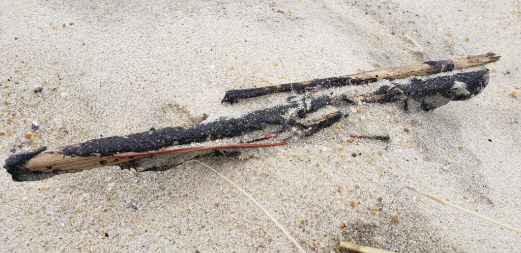 oil spill, delaware beaches, tar ball, tar blob, glob, oil slick, delaware surf fishing, sussex county, delaware state parks, lewes, bethany, dewey, rehoboth, dnrec, coast guard, tri state bird rescue, merr