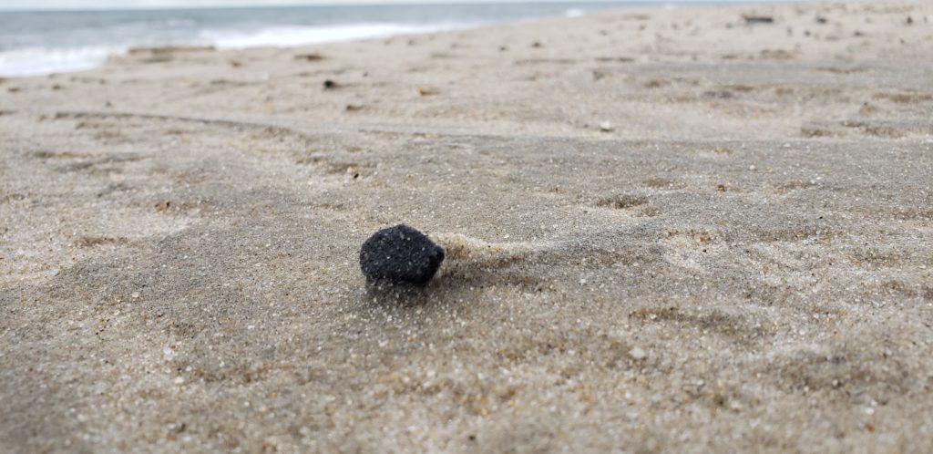 oil spill, delaware beaches, tar ball, tar blob, glob, oil slick, delaware surf fishing, sussex county, delaware state parks, lewes, bethany, dewey, rehoboth, dnrec, coast guard, tri state bird rescue, merr