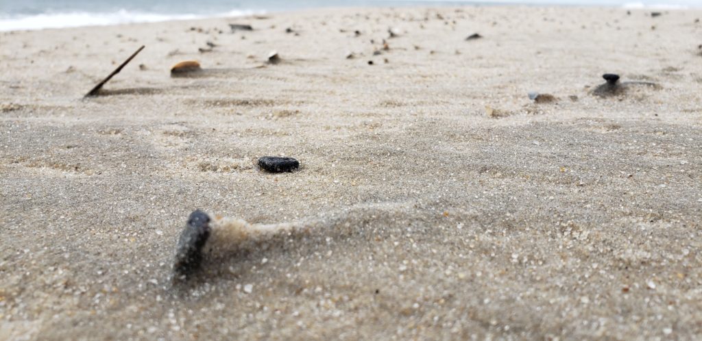 oil spill, delaware beaches, tar ball, tar blob, glob, oil slick, delaware surf fishing, sussex county, delaware state parks, lewes, bethany, dewey, rehoboth, dnrec, coast guard, tri state bird rescue, merr