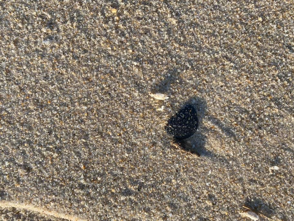 oil spill, delaware beaches, tar ball, tar blob, glob, oil slick, delaware surf fishing, sussex county, delaware state parks, lewes, bethany, dewey, rehoboth, dnrec, coast guard, tri state bird rescue, merr