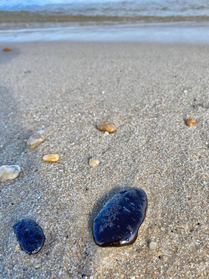 oil spill. broadkill beach, lewes beach slaughter beach, rehoboth beach, cape shores, the point