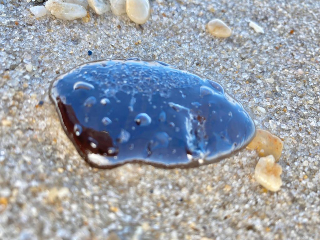 oil spill. broadkill beach, lewes beach slaughter beach, rehoboth beach, cape shores, the point